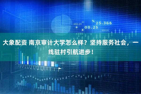 大象配资 南京审计大学怎么样？坚持服务社会，一线驻村引航进步！