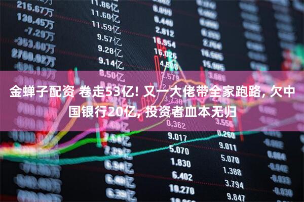 金蝉子配资 卷走53亿! 又一大佬带全家跑路, 欠中国银行20亿, 投资者血本无归