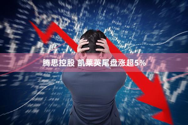 腾思控股 凯莱英尾盘涨超5%